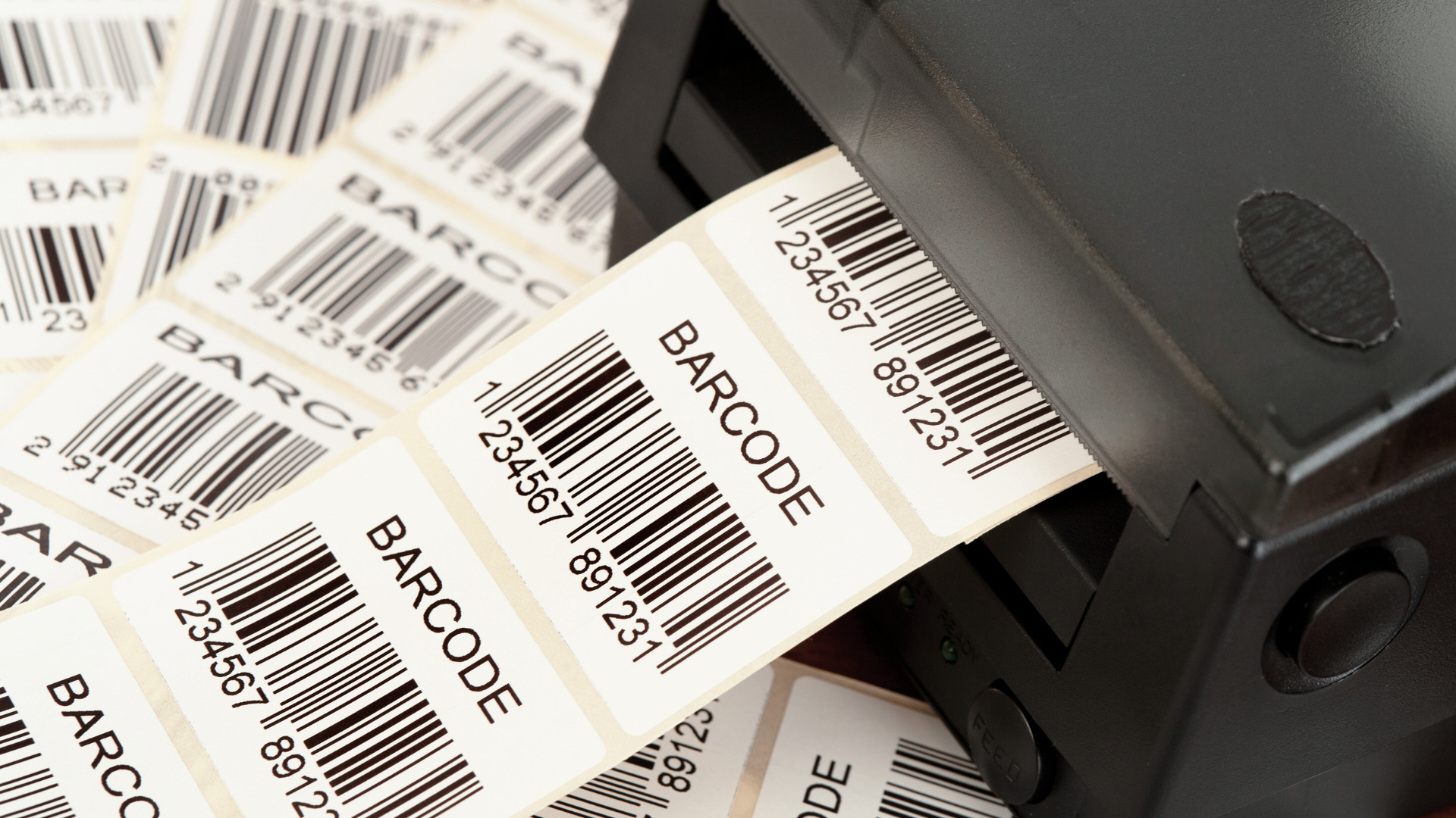 Text2 Barcode Background